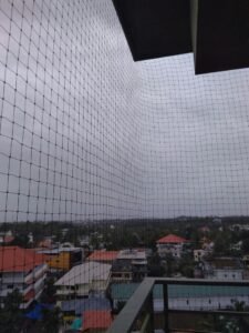 Bird Proofing