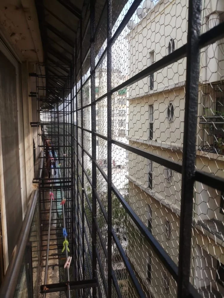 Rodent Proofing
